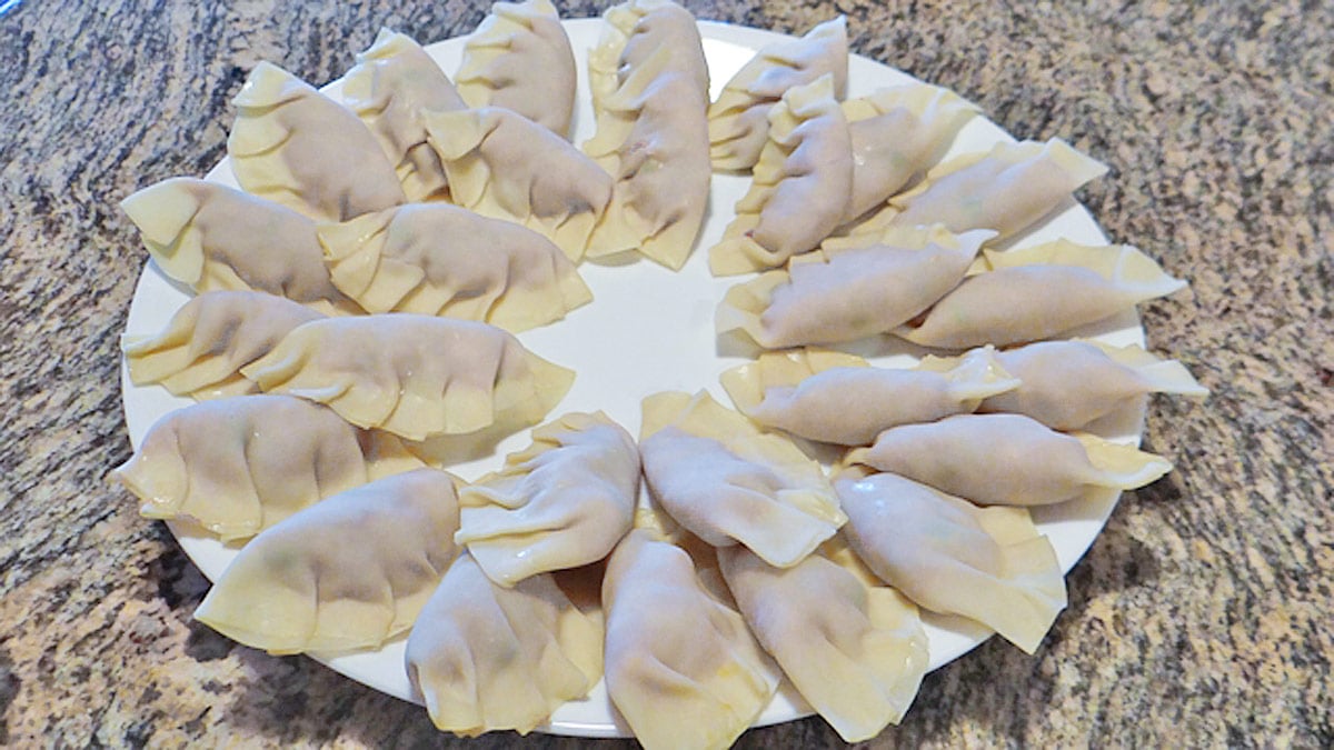 Asian style potstickers on a plate on a countertop.