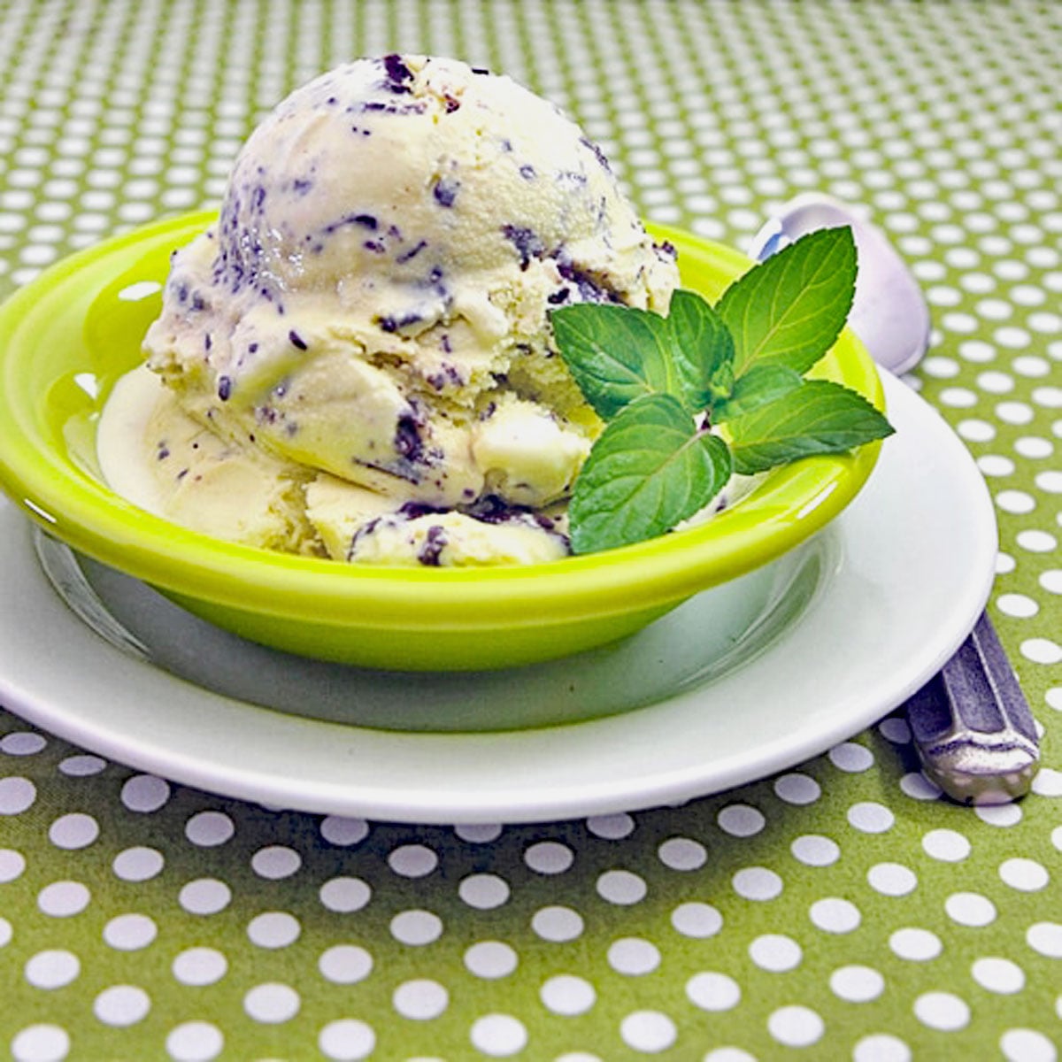 Bowl of mint chocolate chip ice cream.