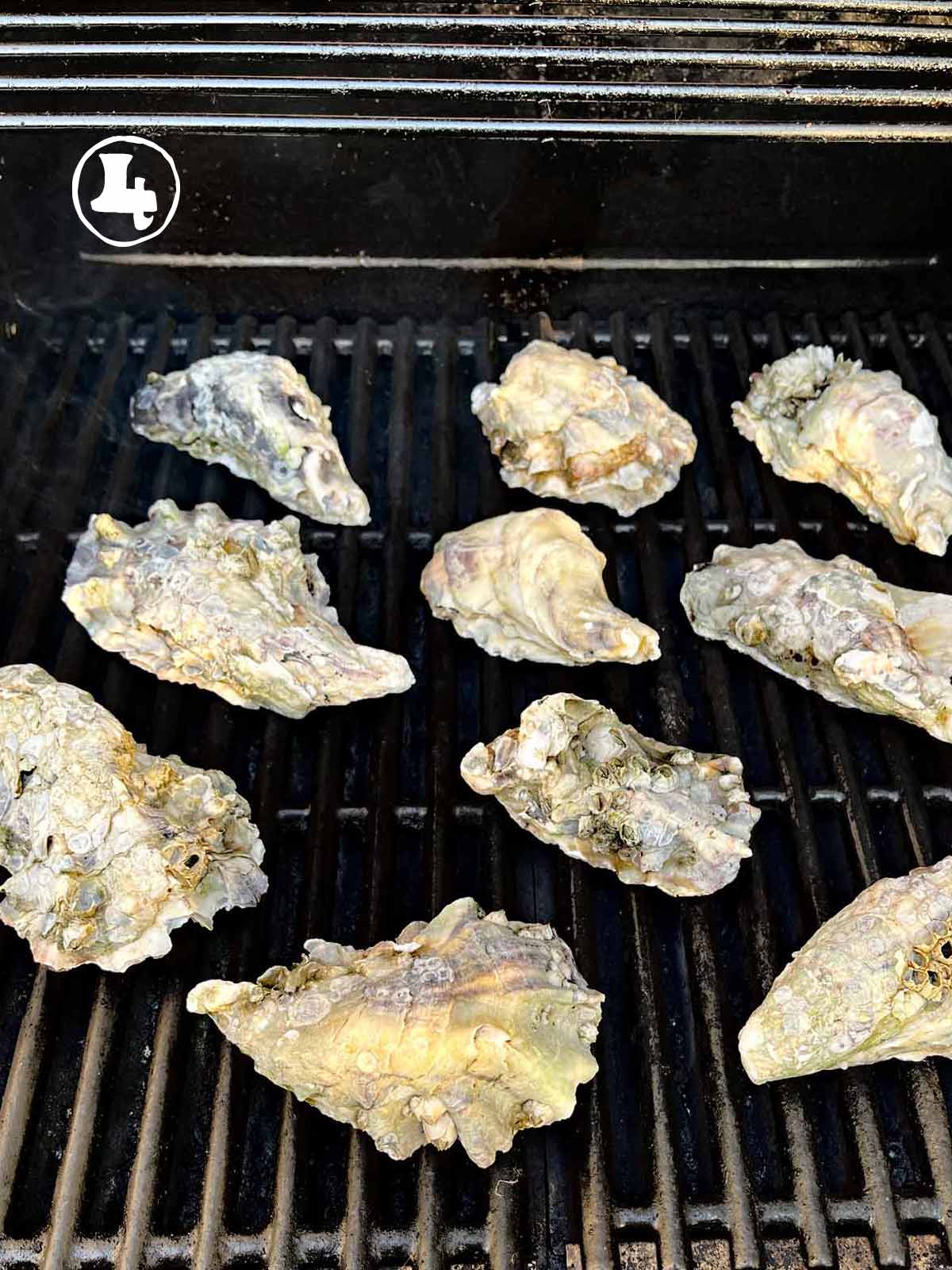 Oysters are being grilled outdoors on a grill.
