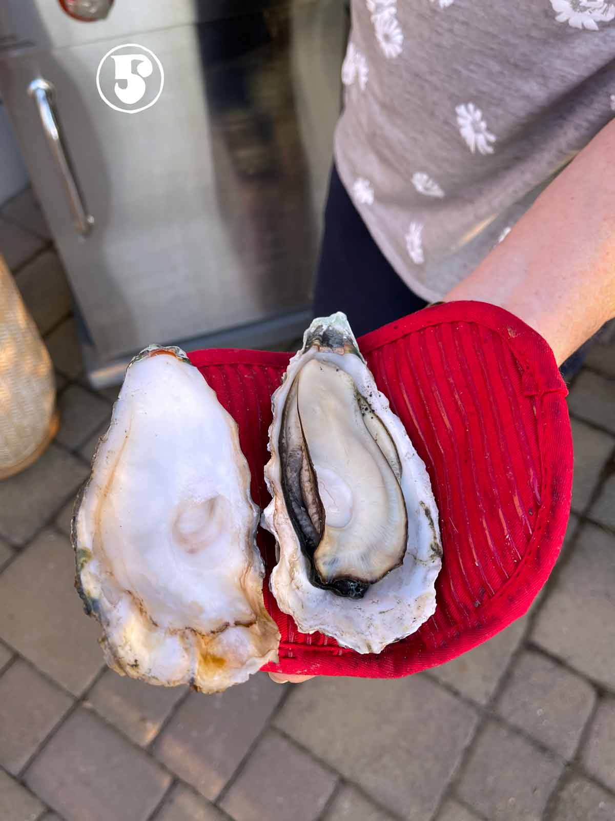 A person holding a grilled oyster after shucking.