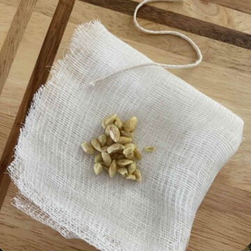 Lemon seeds on a square of folded gauze.