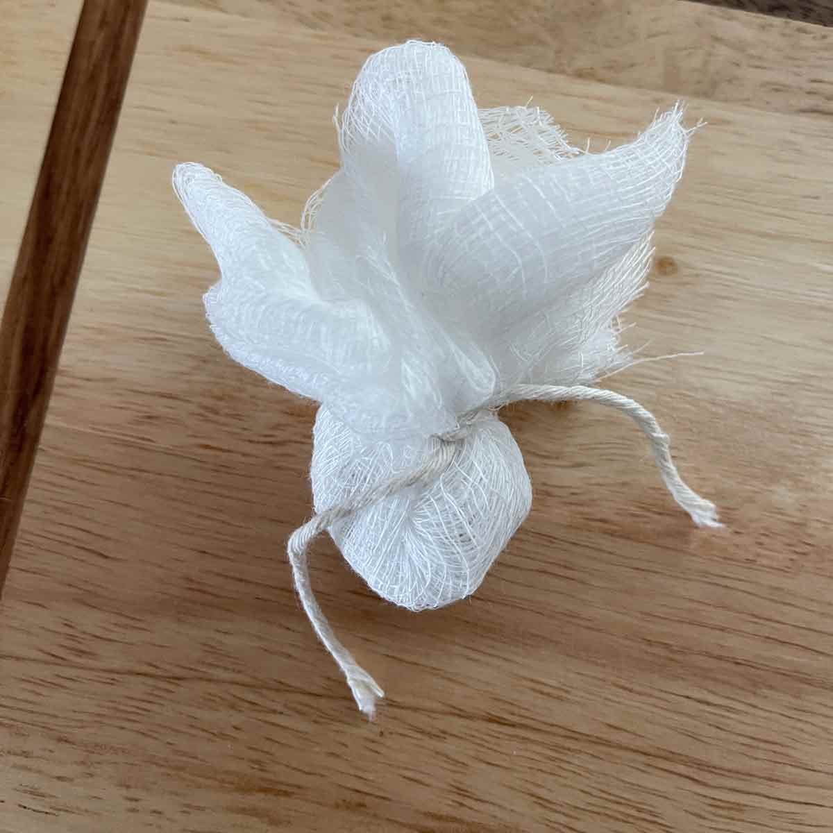 Gauze pulled up into a pouch around the seeds and tied with twine.