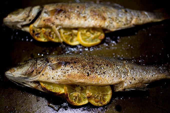 Closeup of cooked branzino with charred lemons.