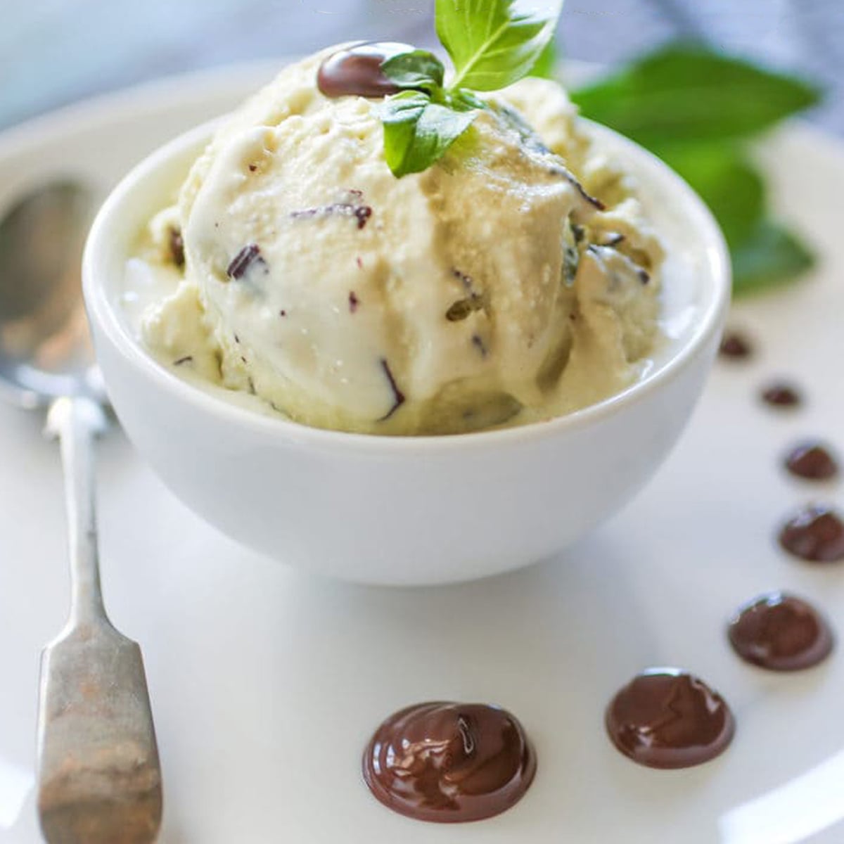 Bowl of mint chocolate chip ice cream with a garnish of chocolate sauce on the plate.