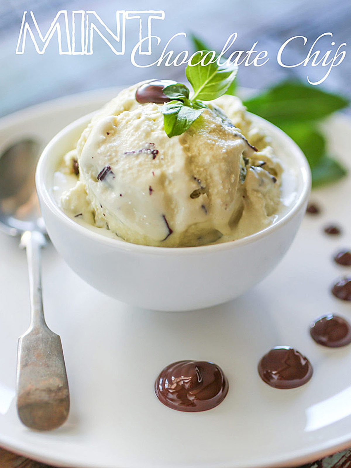 A luscious scoop of mint chocolate chip ice cream sits beautifully on a pristine white plate with drops of chocolate.