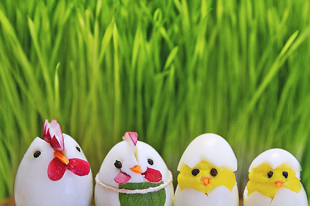 Cute little hardboiled eggs decorated as a family using vegetable parts.
