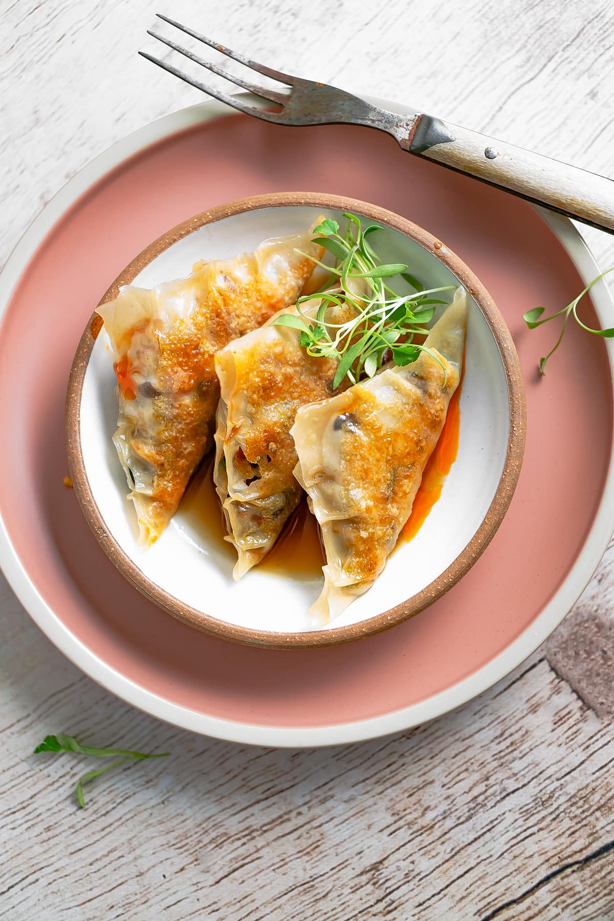 Potstickers with dipping sauce and micro cilantro garnish

