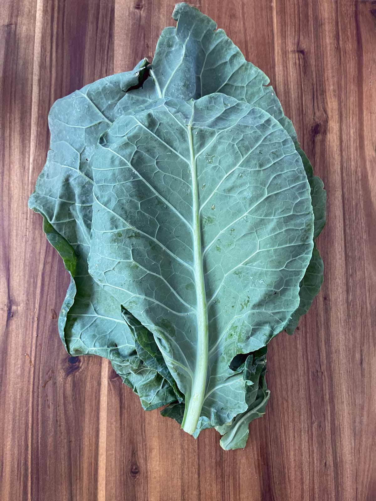 Fresh collard greens.