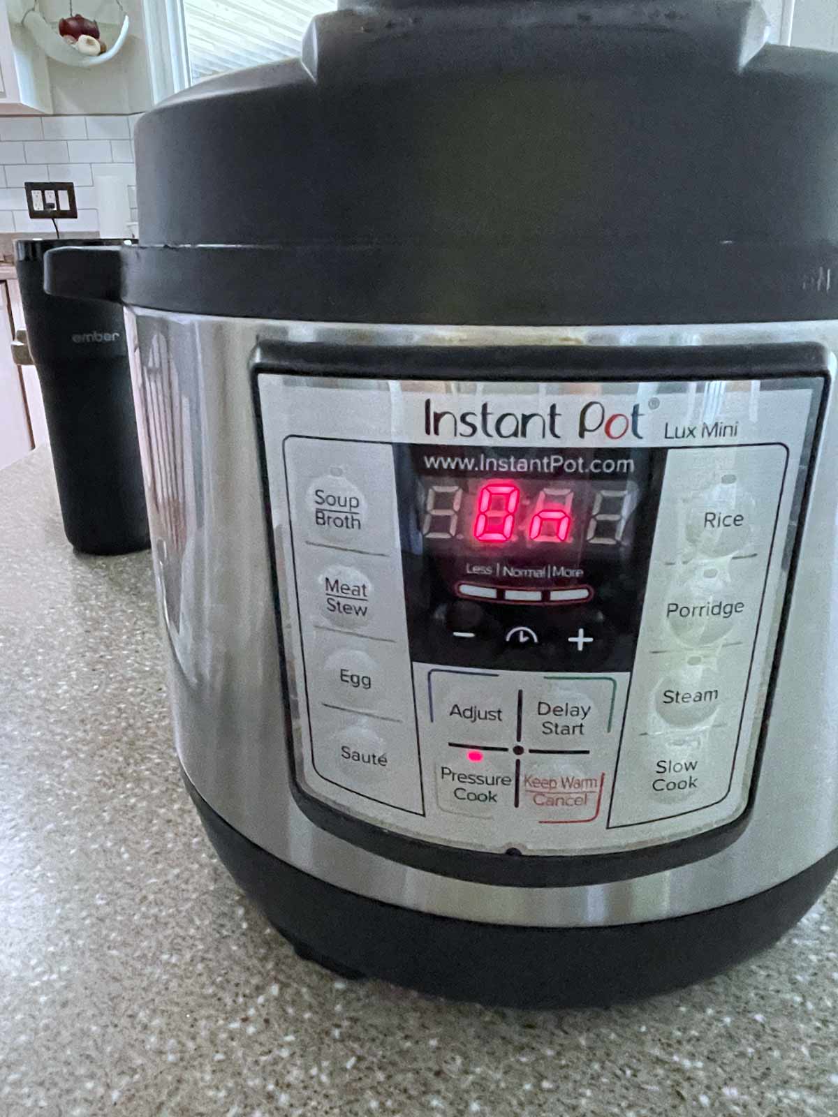 Instant Pot with the temperature reading.