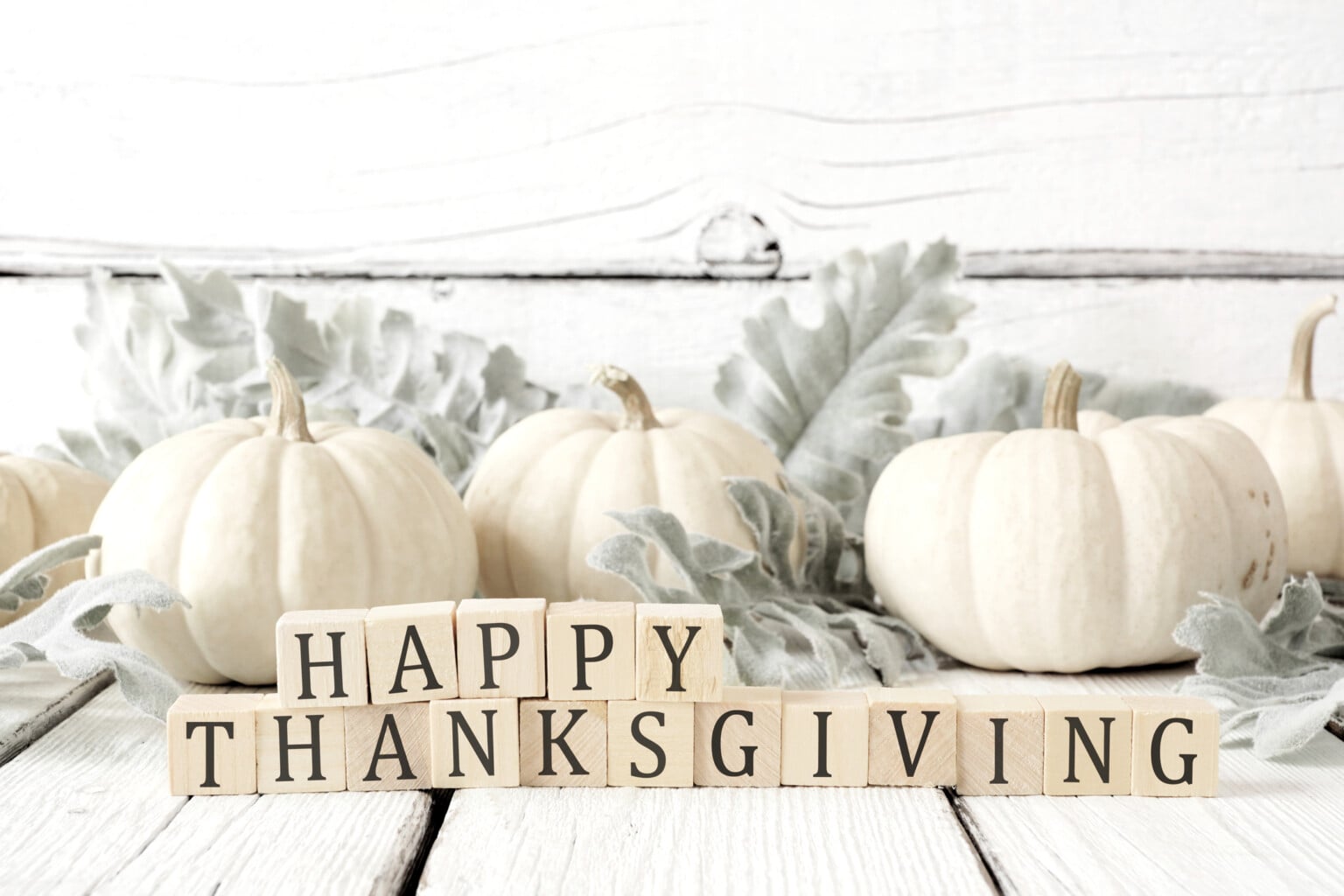 White pumpkins and wooden blocks spelling out Happy Thanksgiving.