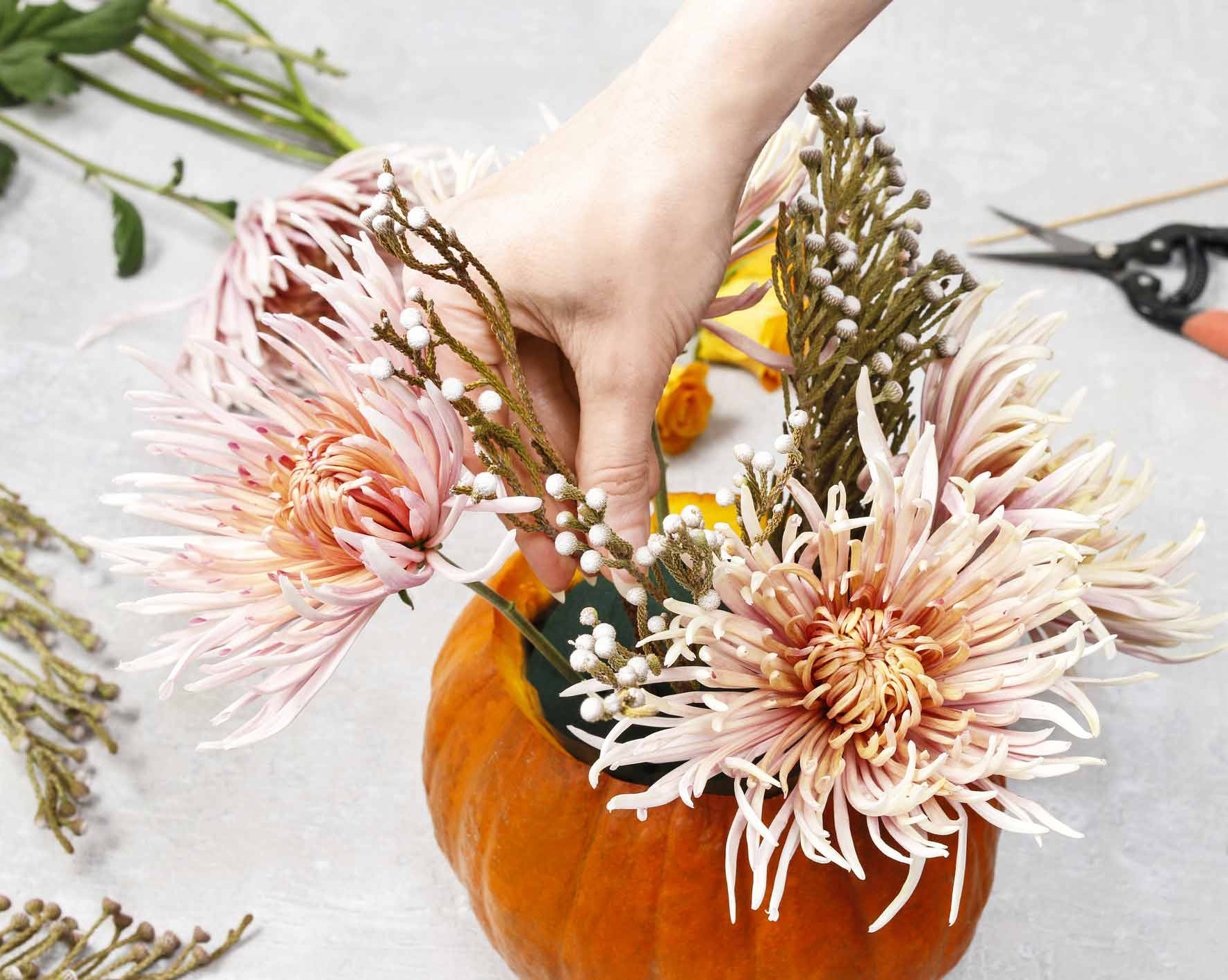Real pumpkin hollowed out and hands placing fresh flowers inside.