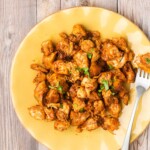Cooked chicken on a plate.