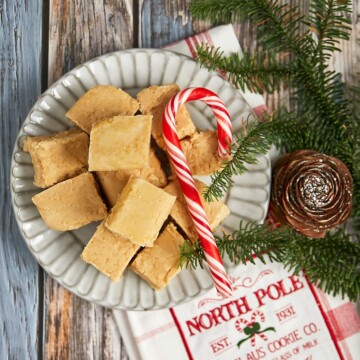 A plate of peanut butter fudge with pine bough, and candy cane.