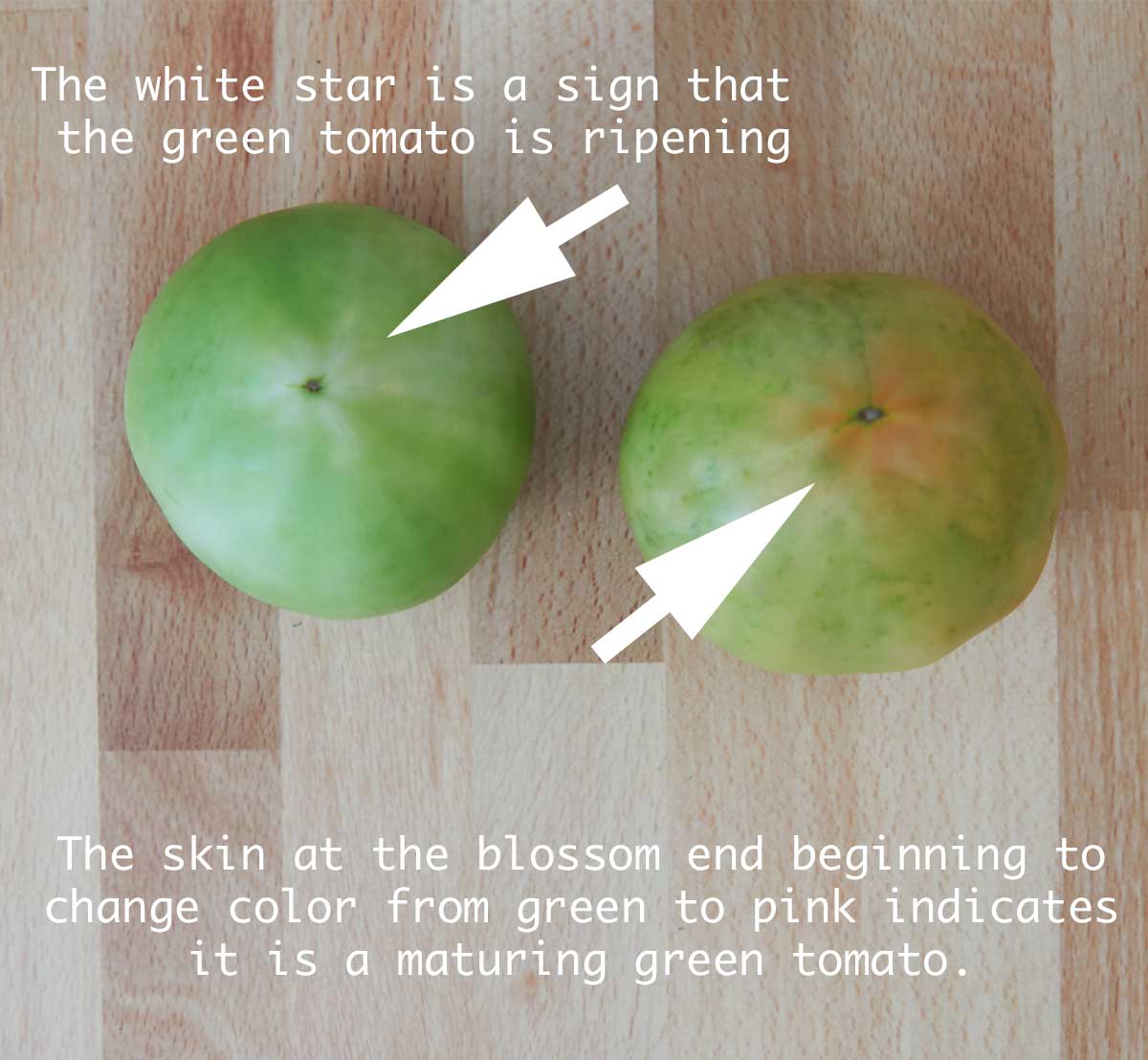 The green tomato matures with a white star sign, or pink skin on bottom.