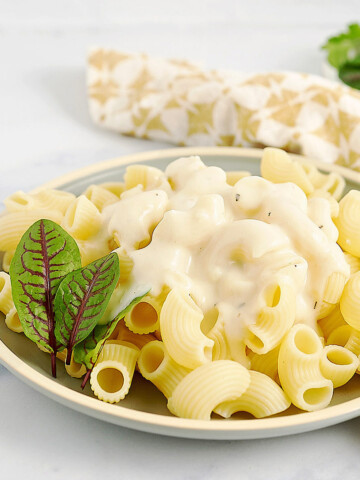 A plate of pasta with garlic parmesan cream sauce.