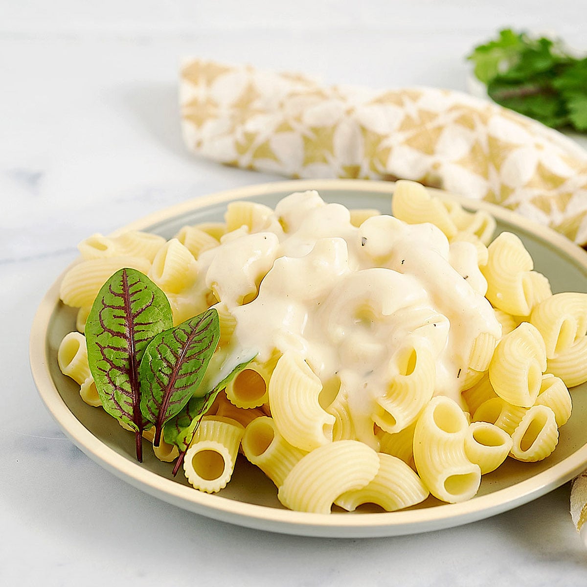 Easy Garlic Parmesan Cream Sauce Recipe for Pasta
