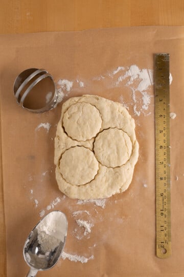 Biscuit dough on parchment paper with three circles cut out, a metal ruler, floured scoop, and biscuit cutter nearby.